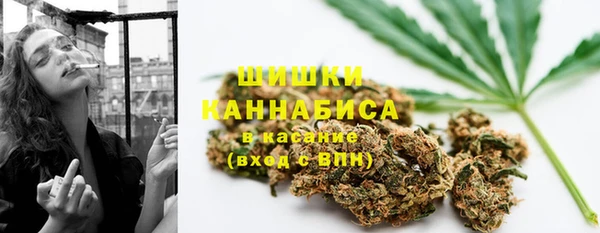 шишки Балахна
