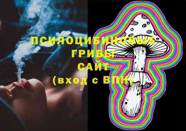шишки Балахна