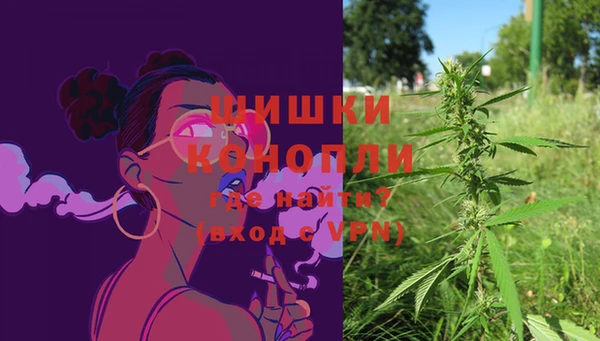 шишки Балахна