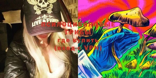 ПСИЛОЦИБИНОВЫЕ ГРИБЫ Баксан